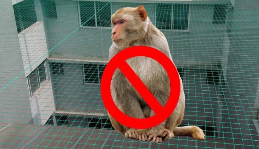 Monkey Safety Nets in Andhra Pradesh