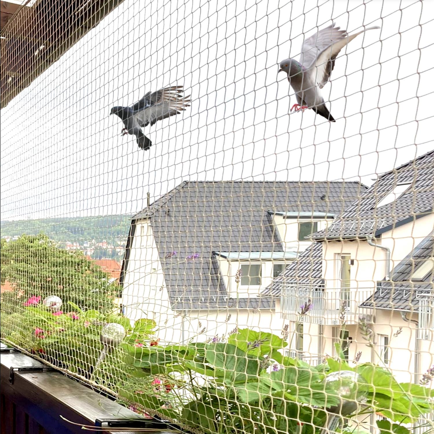 Pigeon Safety Nets in Andhra Pradesh